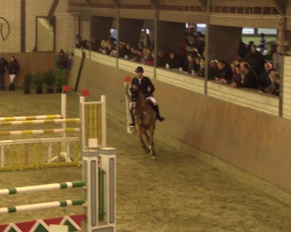 Reitturnier Hamm-Rhynern 2016