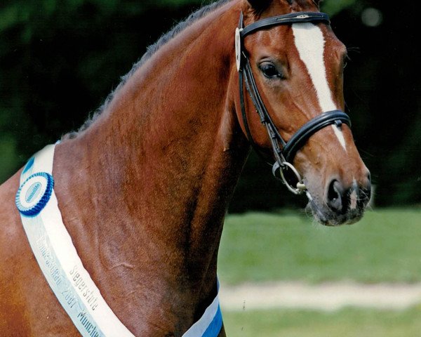 broodmare Passion (Bavarian, 2004, from Belissimo NRW)