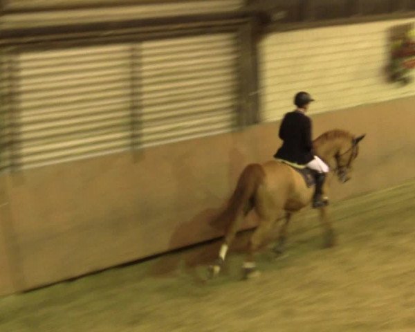 Reitturnier Hamm-Rhynern 2016