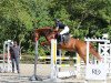 jumper Labell (German Sport Horse, 2005, from Ludger G)