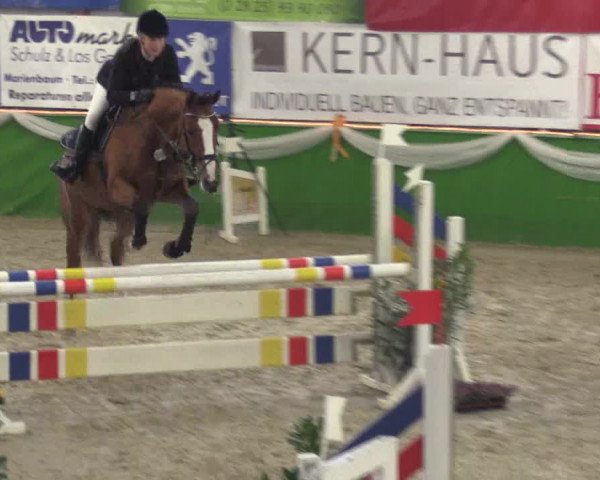 Keppelner Springpferdemeeting 2016