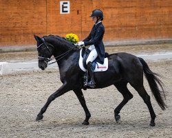 dressage horse Heavenly (Hanoverian, 2006, from Hochadel)