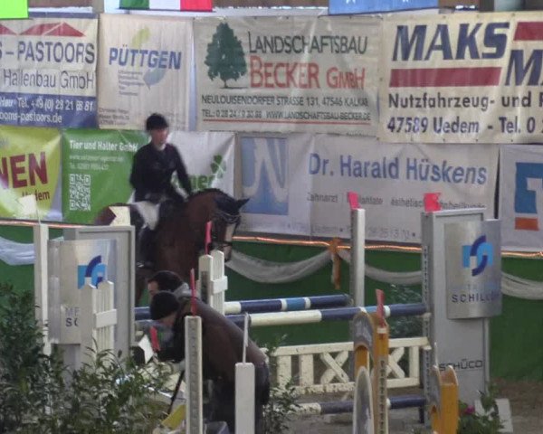 Keppelner Springpferdemeeting 2016