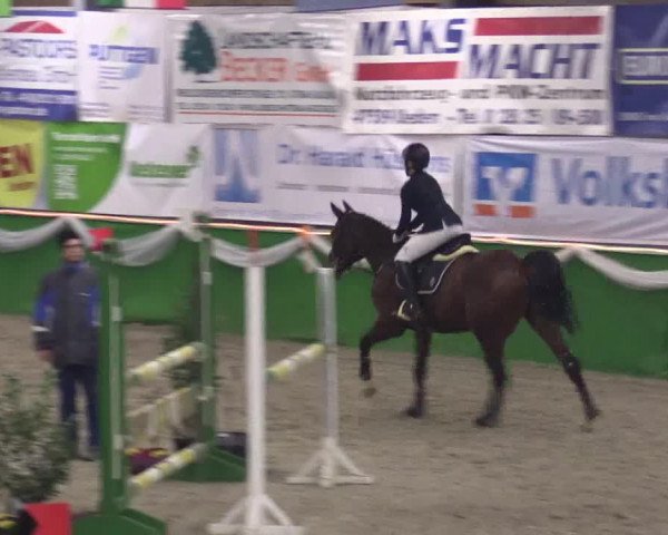 Keppelner Springpferdemeeting 2016
