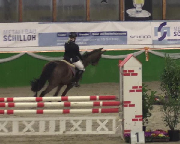 Keppelner Springpferdemeeting 2016