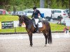 dressage horse Quasar Quasar (Hanoverian, 2010, from Quando-Quando)