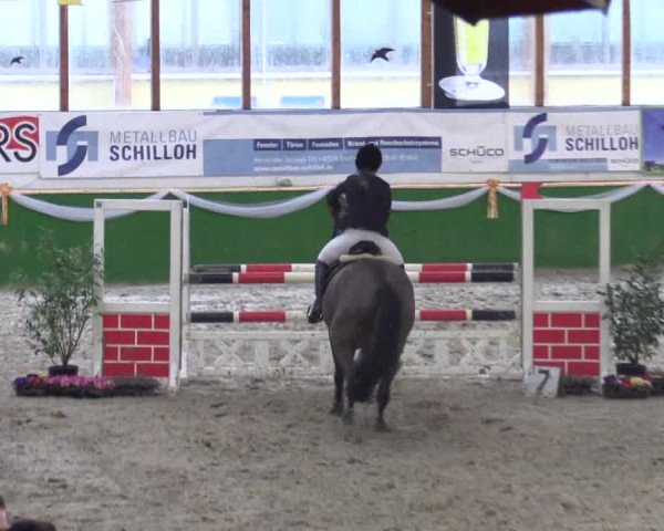 Keppelner Springpferdemeeting 2016