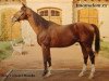 stallion Imamalom xx (Thoroughbred, 1969, from Imperial xx)