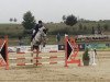 dressage horse Kodars (Latvian Warmblood, 2008, from Corall)