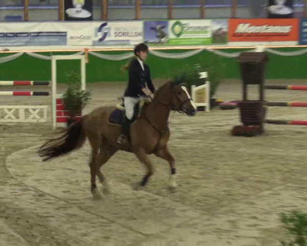 Keppelner Springpferdemeeting 2016
