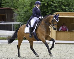 dressage horse Rubina 444 (Oldenburg, 2004, from Rubin Royal OLD)