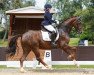 dressage horse Dancing Heartbreaker (Hanoverian, 2010, from Dimaggio)