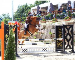 jumper Hötzenhof Aurelio (German Riding Pony, 2012, from Kanshebber)