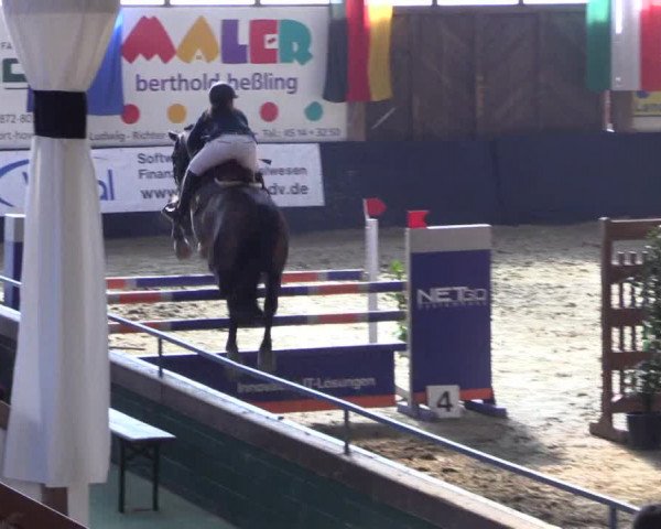 Reitturnier Borken 2016