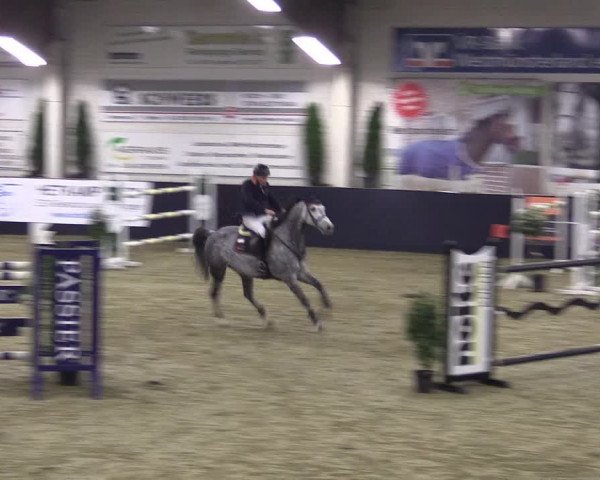 Reitturnier Borken 2016
