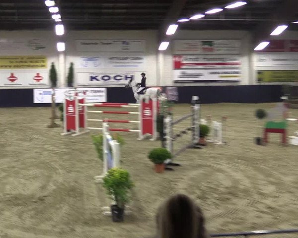 Reitturnier Borken 2016