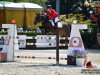 jumper Benjamin 386 (German Riding Pony, 2004, from Brillant's Golden Boy)