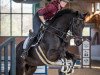 dressage horse Fire Day (Westphalian, 2010, from Fürst Romancier)