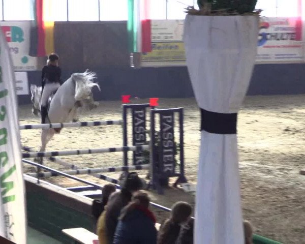 Reitturnier Borken 2016