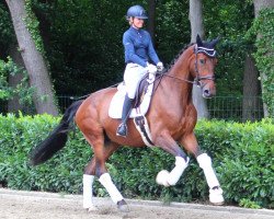 dressage horse Da Vinci 356 (Hanoverian, 2016, from Danone 4)