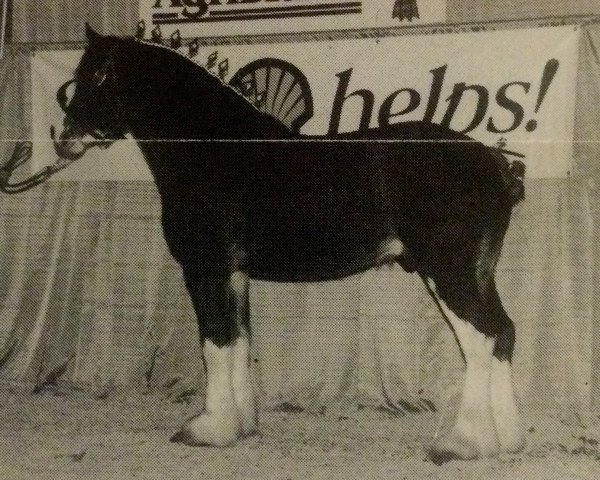 Deckhengst Brunt-Hill Bart (Clydesdale, 1991, von Willoway Pete)