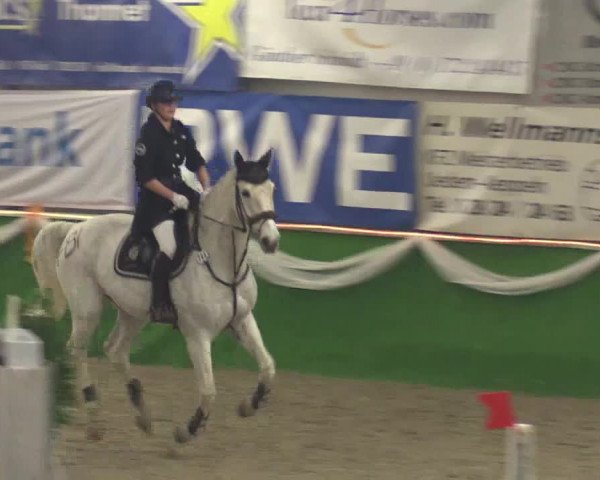 Keppelner Springpferdemeeting 2016