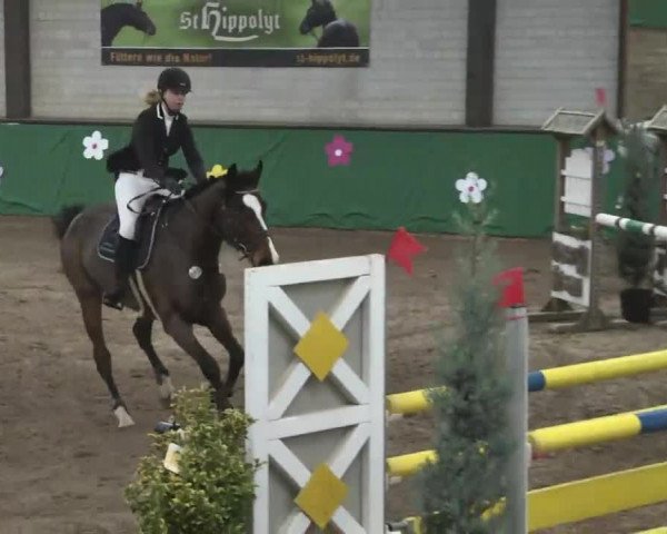 Reitturnier Heilbronn 2016
