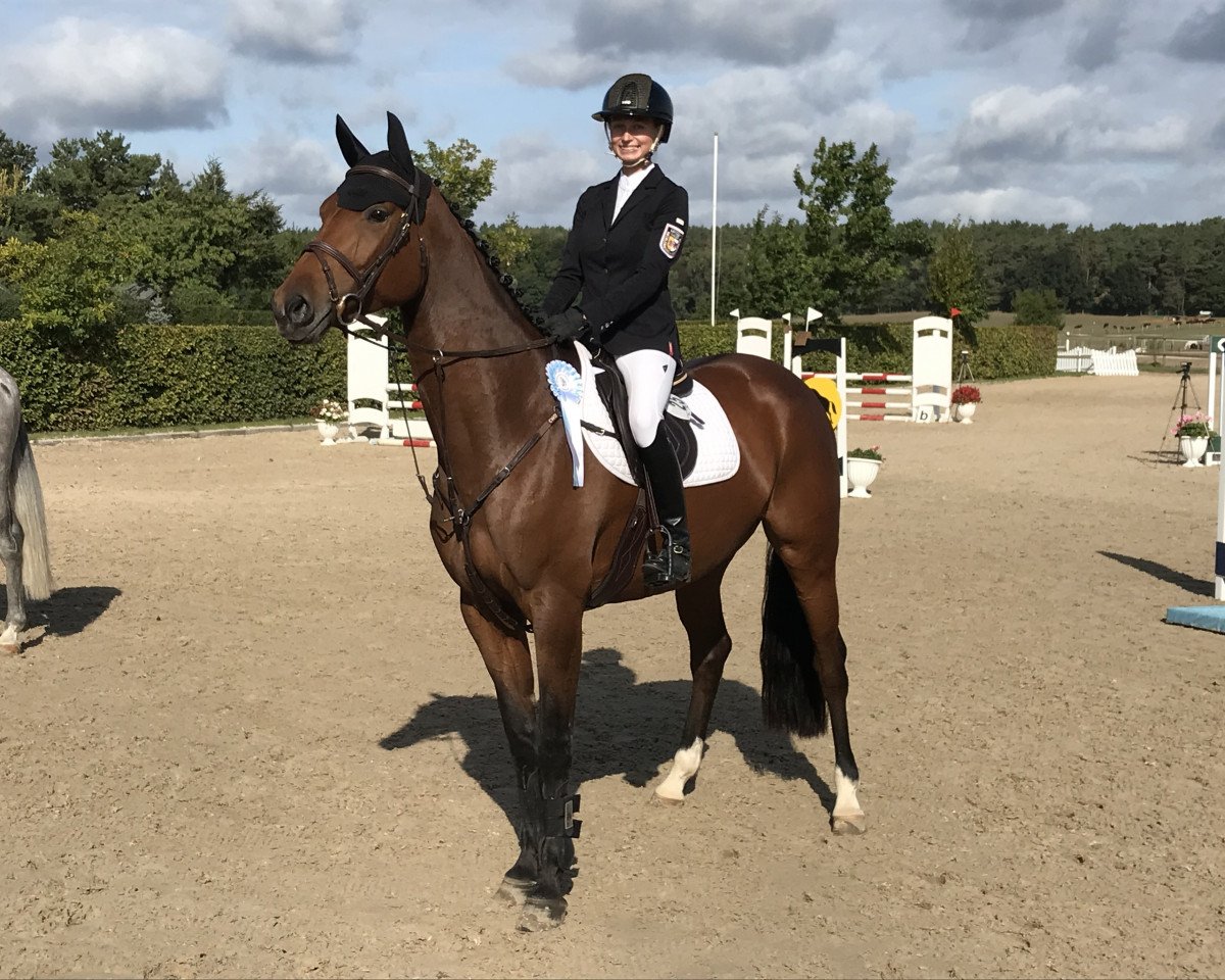 jumper Helene 37 (Holsteiner, 2015, from Sandro Boy)