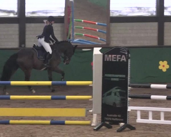 Reitturnier Heilbronn 2016