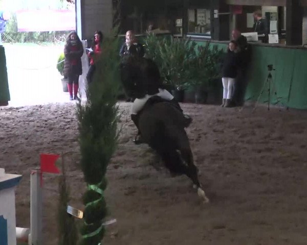 Reitturnier Heilbronn 2016