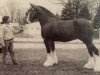 broodmare Brislawn's Debutante Danielle (Clydesdale, 1992, from Masterpiece Dunkin)