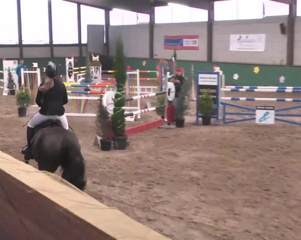 Reitturnier Heilbronn 2016