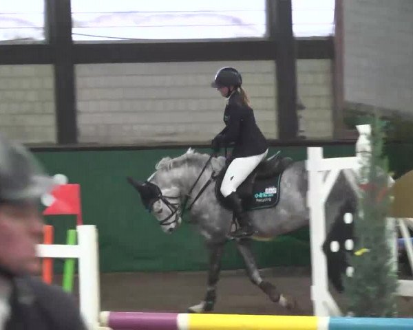 Reitturnier Heilbronn 2016