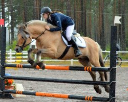 stallion Temperament (Fjord Horse, 2000, from Enar 135 SWE)