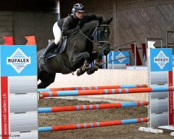 jumper Top Secret B (Irish Sport Horse, 2010, from Radolin)