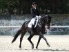 Zuchtstute Donna Francesca CH (Schweizer Warmblut, 2008, von Don Frederico)