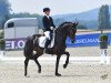 dressage horse Soliére (Westphalian, 2014, from San Amour I)