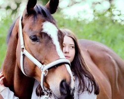 dressage horse Camiro 54 (Hanoverian, 2012)