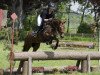 jumper Penny Lane (German Riding Pony, 2014, from Calido G)