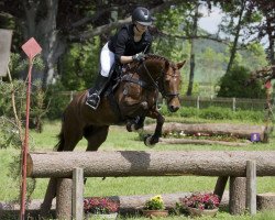 Springpferd Penny Lane (Deutsches Reitpony, 2014, von Calido G)