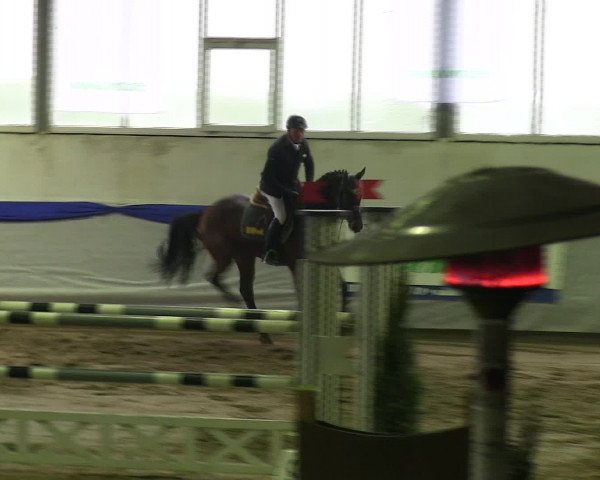 Hallenspringturnier Münster-Albachten 2016
