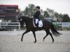 dressage horse Danse Fleur (Oldenburg, 2015, from Don Kennedy)