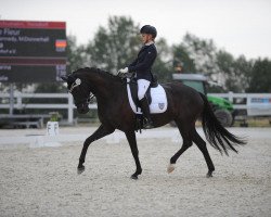 dressage horse Danse Fleur (Oldenburg, 2015, from Don Kennedy)