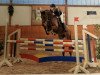 jumper Don de Luxe 3 (German Riding Pony, 2011, from Don Juan)