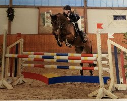 jumper Don de Luxe 3 (German Riding Pony, 2011, from Don Juan)