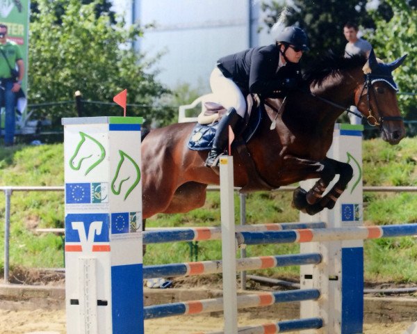 jumper Countess Grannus (Hanoverian, 2007, from Count Grannus)