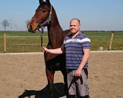 broodmare Roya (Bavarian, 2010, from Clinton H)