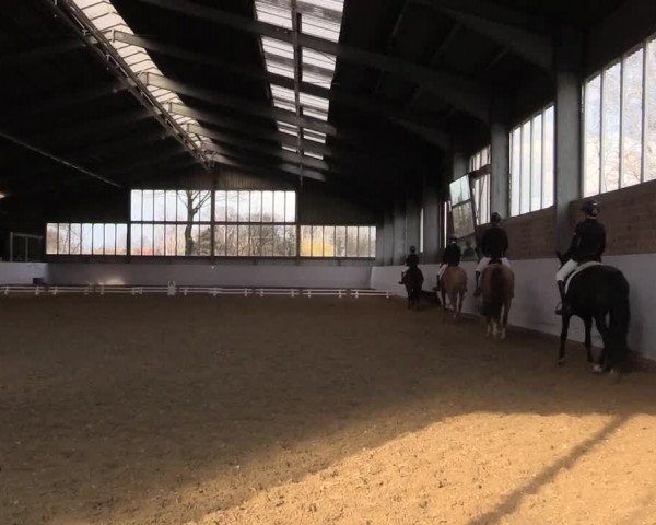 17. Grevener - Dressurtage 2016