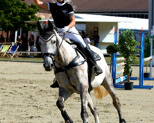 broodmare Hope of Destiny (Zweibrücken, 2011, from Hope of Heaven)