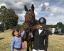 dressage horse Sir Karl K (Hanoverian, 2008, from Sir Donnerhall I)